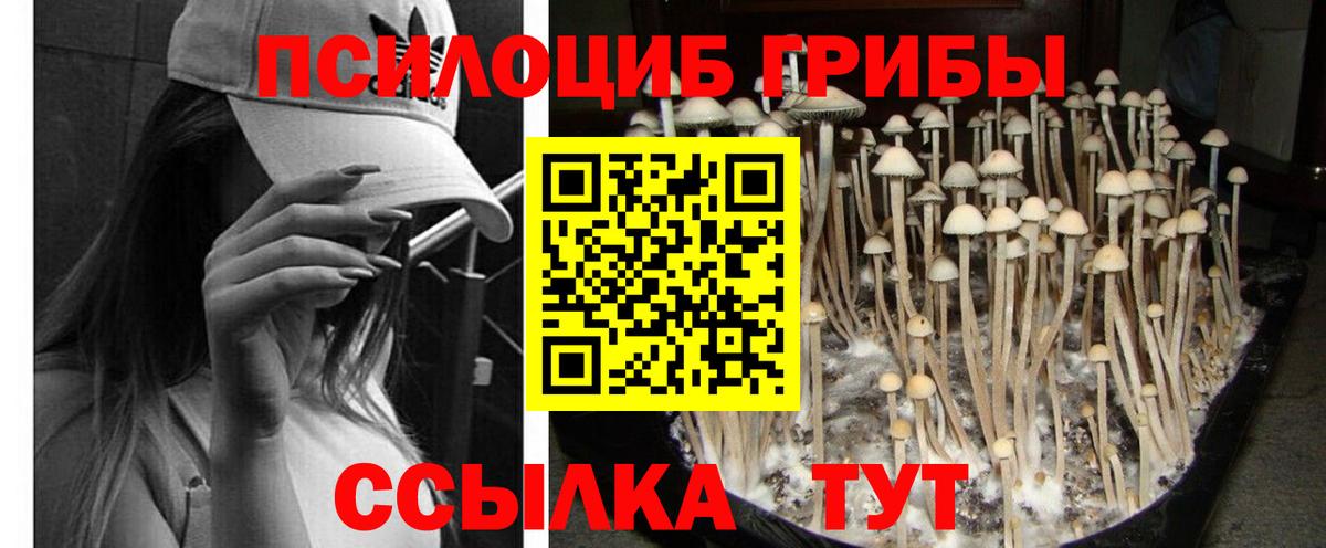 Псилоцибиновые грибы GOLDEN TEACHER Узловая