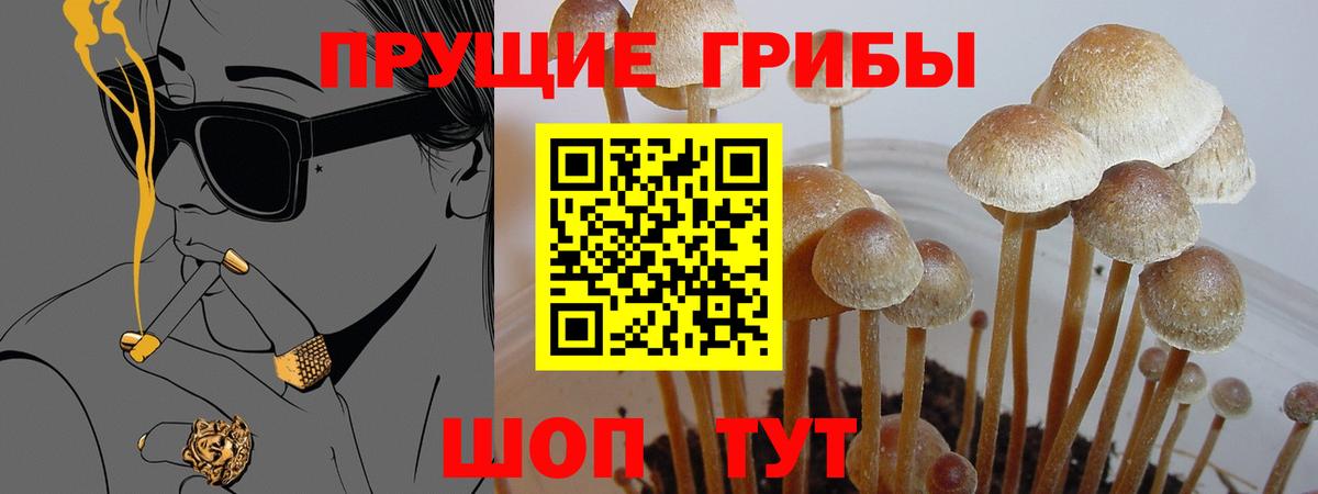 Псилоцибиновые грибы Psilocybine cubensis  Вход с VPN  Узловая  Галлюциногенные грибы прущие грибы 